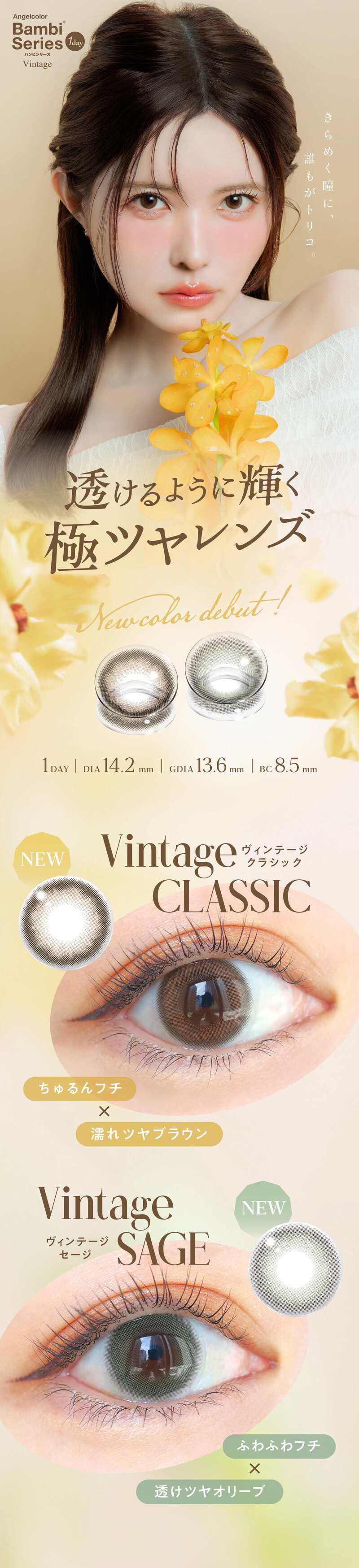 カラコン　益若つばさ　バンビ　ヴィンテージ　つーちゃん