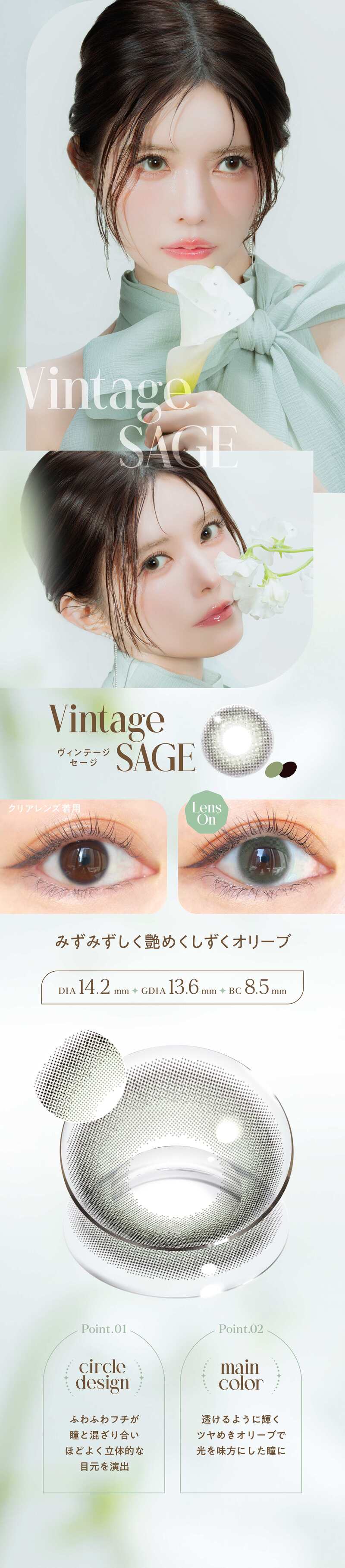 カラコン　益若つばさ　バンビ　ヴィンテージ　つーちゃん