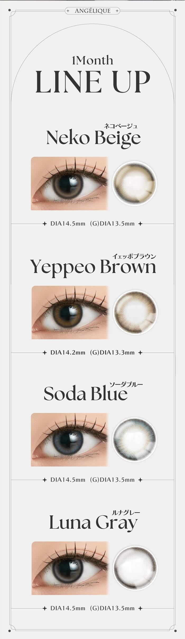 アンジェリーク マンスリー カラコン カラーラインナップ