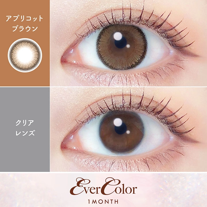 エバーカラー マンスリー カラコン 新木優子 ナチュラルブラック 装用画像