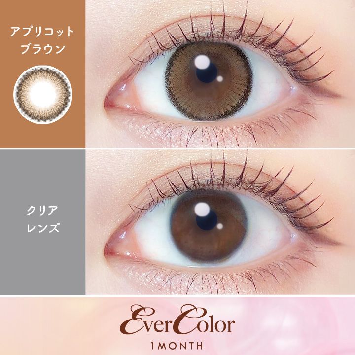 エバーカラー マンスリー カラコン 新木優子 アプリコットブラウン 装用画像