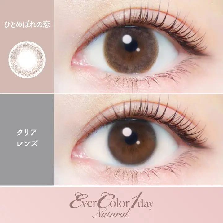 エバーカラー ワンデー ナチュラル EverColor 1day Natural