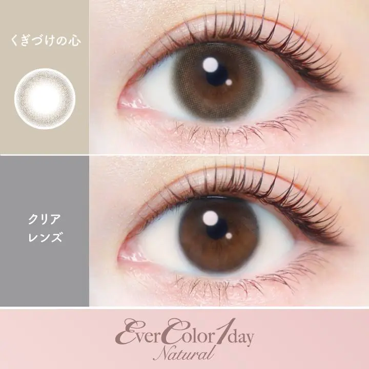 エバーカラー ワンデー ナチュラル EverColor 1day Natural