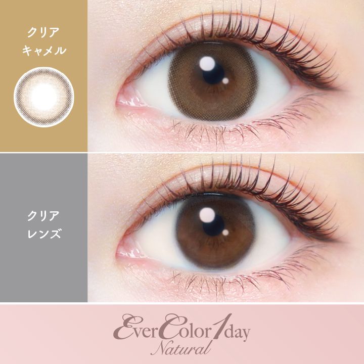 エバーカラー カラコン ワンデー ナチュラル 新木優子 クリアキャメル 装用画像