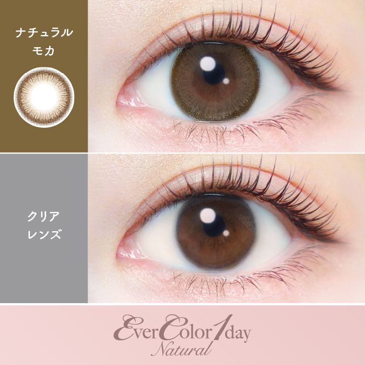 エバーカラー カラコン ワンデー ナチュラル 新木優子 ナチュラルモカ 装用画像
