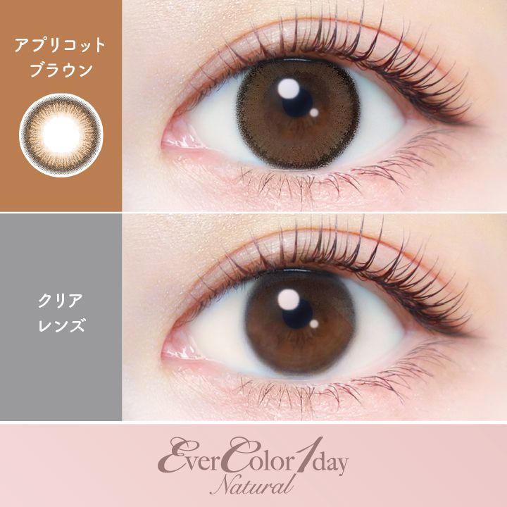 エバーカラー カラコン ワンデー ナチュラル 新木優子 アプリコットブラウン 装用画像