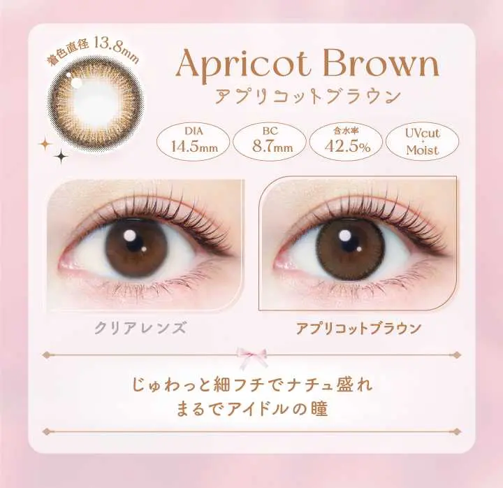 エバーカラー ワンデー ナチュラル　カラコン　　EverColor 1day Natural