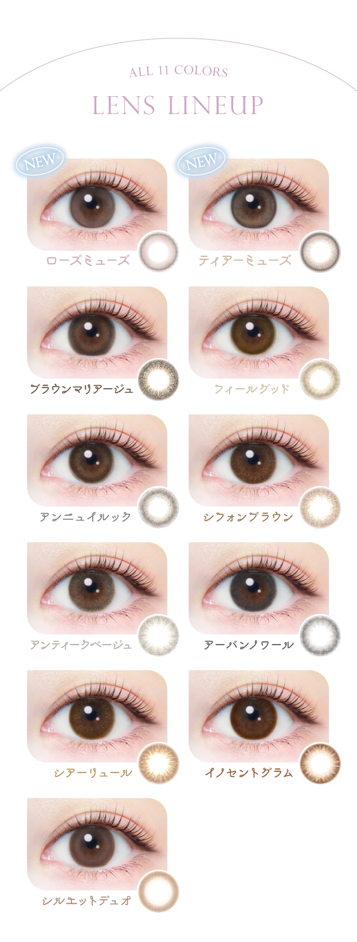 エバーカラー ワンデー ナチュラル モイストレーベル ユーブイ カラコン　カラコン　　EverColor 1day Natural MOISTLABEL UV