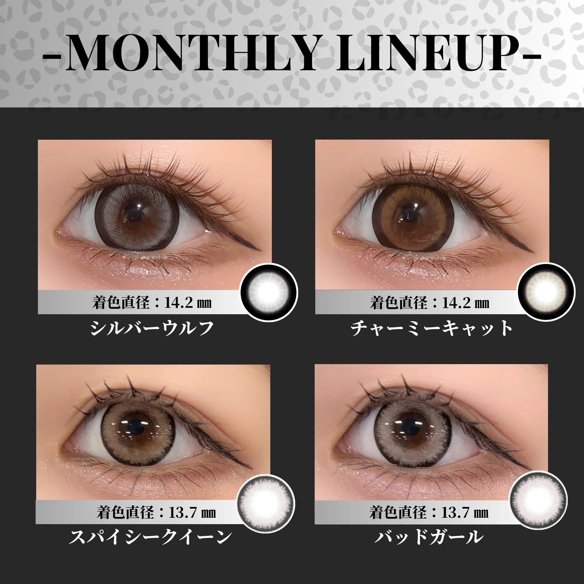 リセイ RESAY せいせい シルバーウルフ メインビジュアル