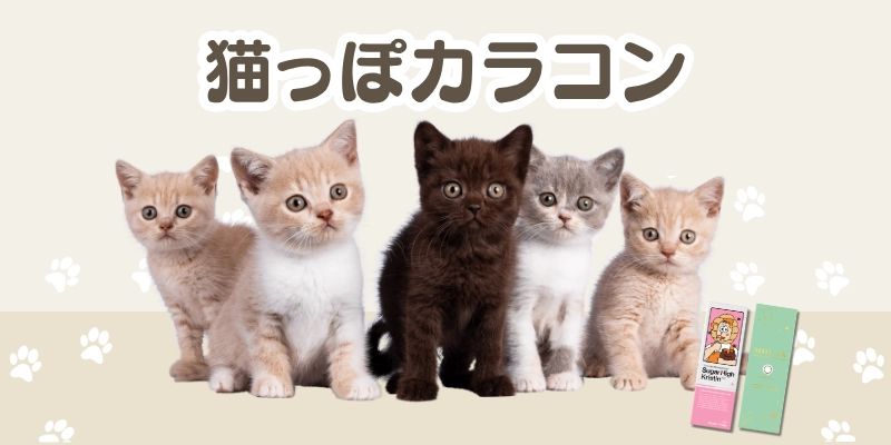 猫っぽカラコン　特集バナー